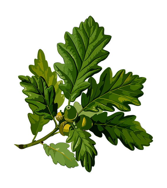 irish