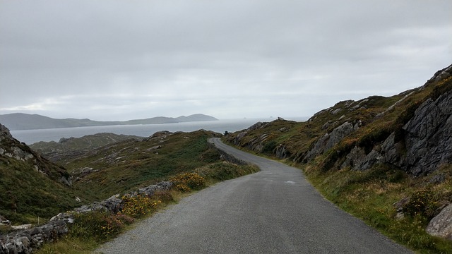 irish-640x480-84760366.jpeg