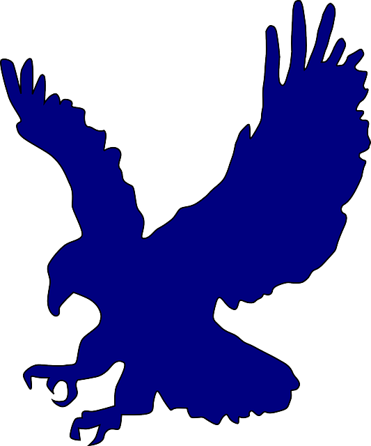 patriotic-640x480-3138907.png