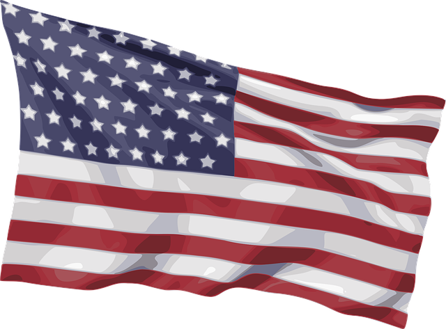 usa flag