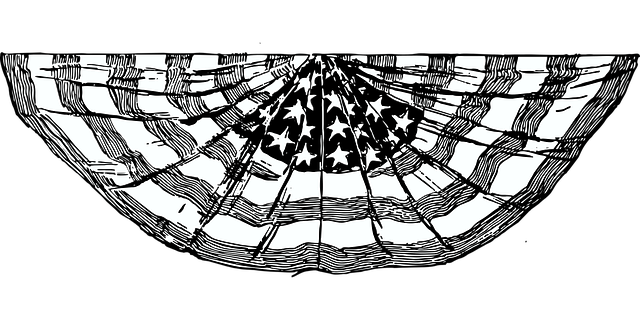 usa flag