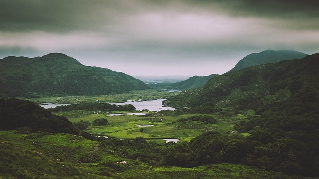 irish