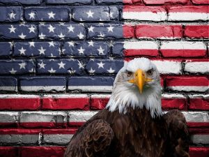 patriotic-640x480-1254740.jpeg