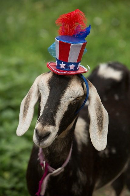 patriotic