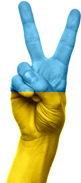 patriotic-640x480-44988757.png