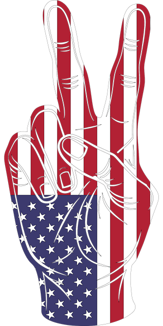 usa-640x480-75332950.png
