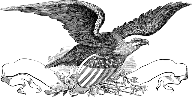 usa-640x480-95640433.png
