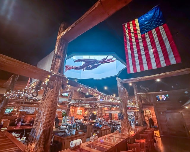 usa flag