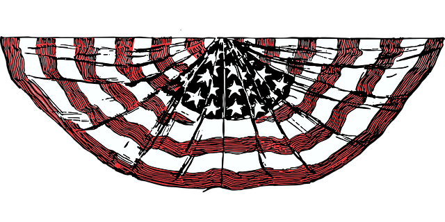 usa flag