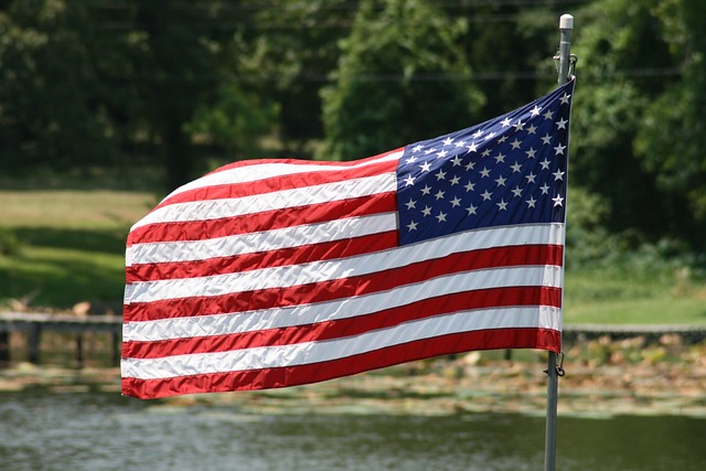 usa flag