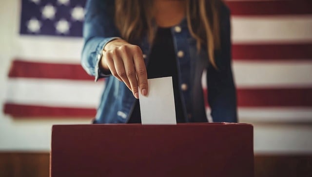 usa flag