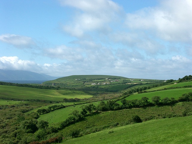 irish-640x480-252649.jpeg