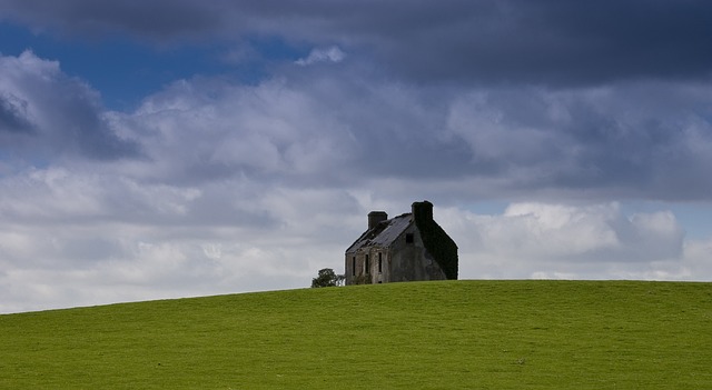 irish-640x480-71935732.jpeg