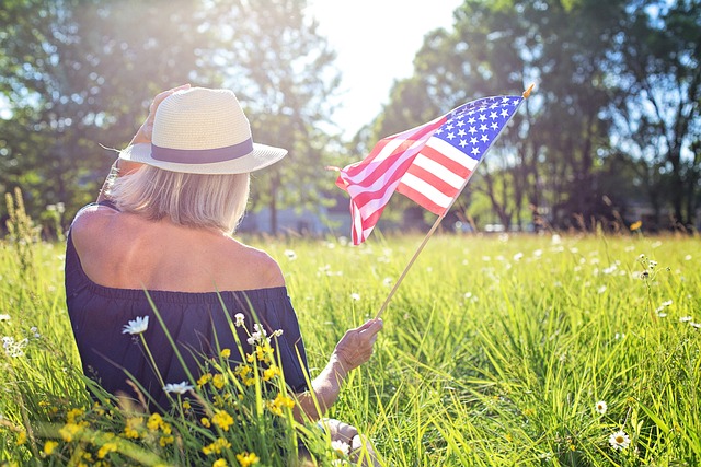 usa flag