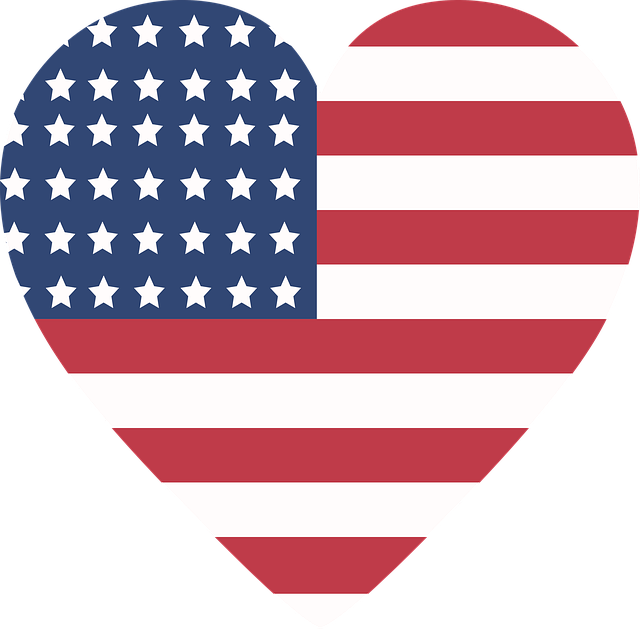 usa flag