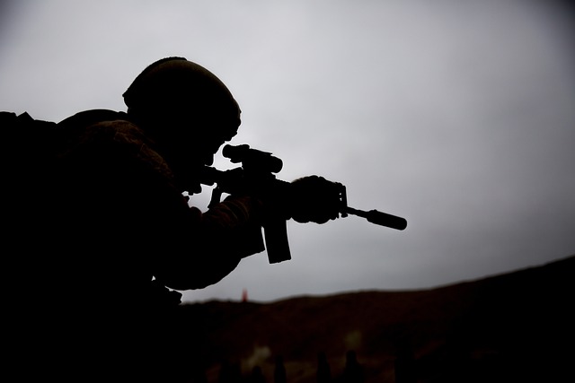 US Army