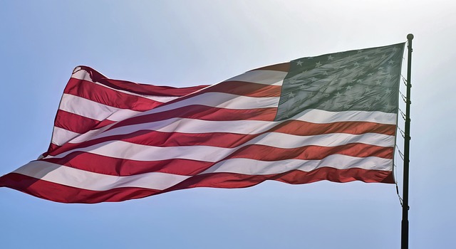 usa flag