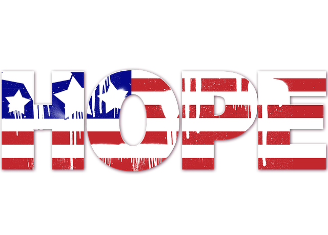 usa flag