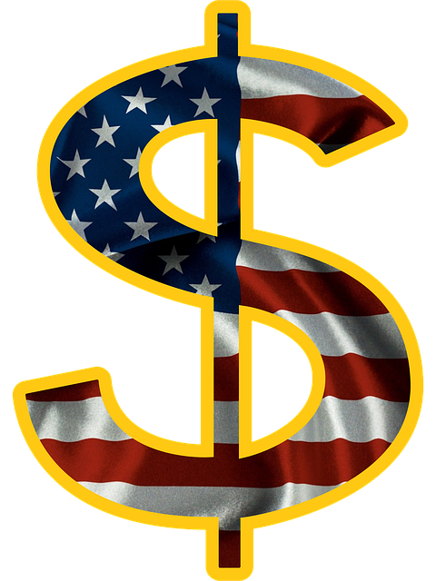 usa flag