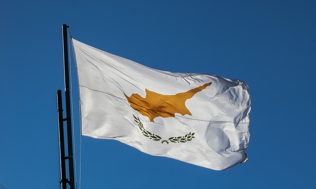 1st cavalry division flag
