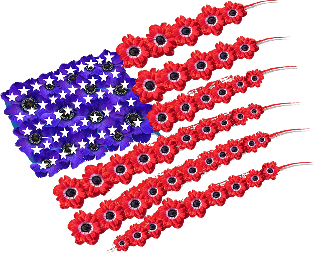 5 by 8 american flag