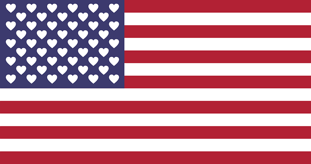 8 x 12 american flag