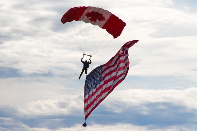 82nd airborne division flag