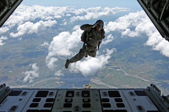 82nd airborne division flag