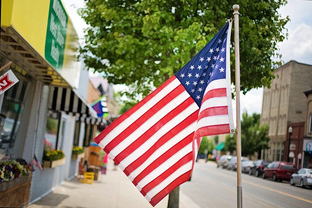 american eagle and flag