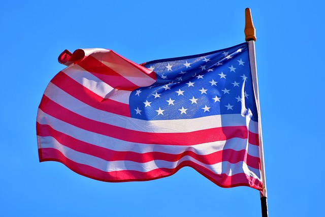 american eagle and flag
