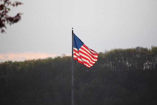 american flag cool