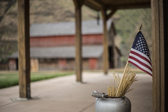 american flag skull