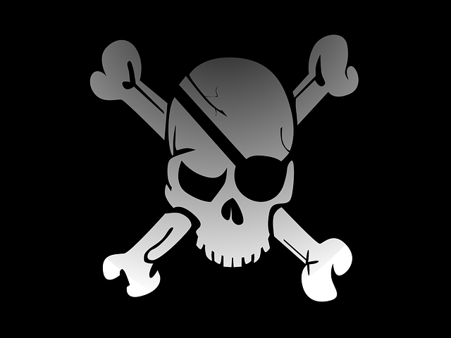 american flag skull