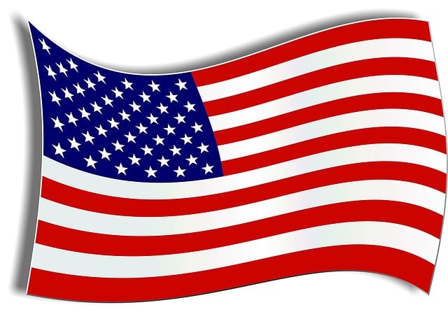 american flag skull