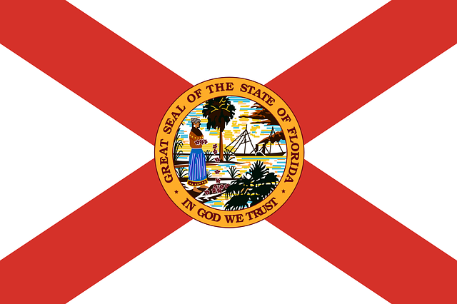 distress american flag
