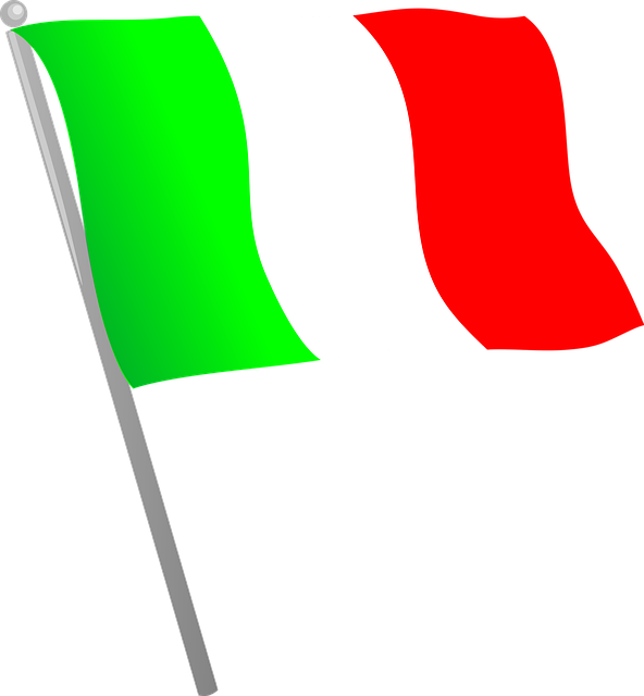 italian american flag