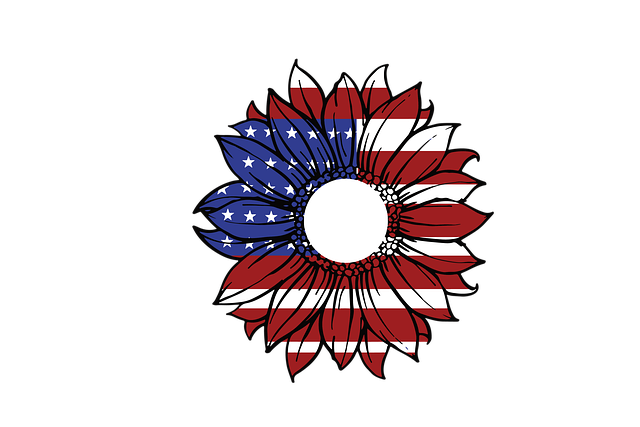 old us flag near me