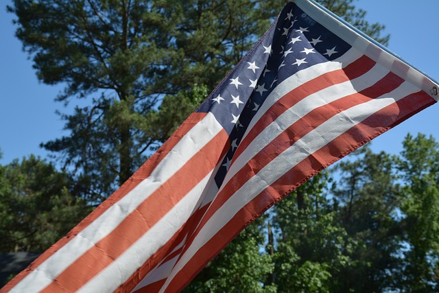 small american flags 12x18