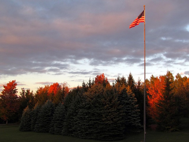 small american flags near me