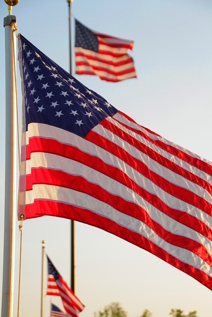 us army flag