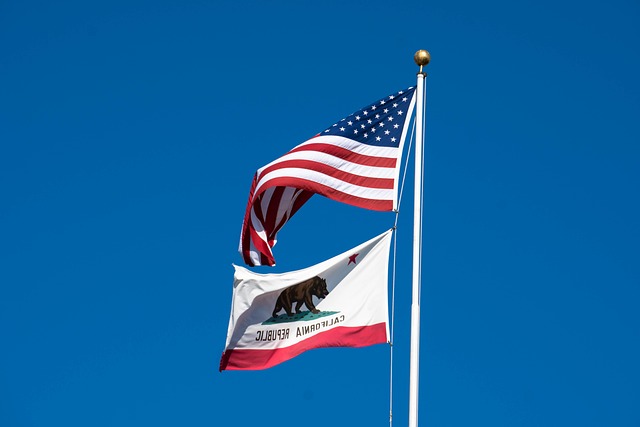us flag near me open