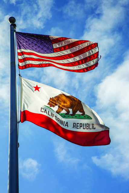we the people american flag