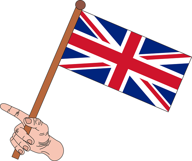 101st airborne division flag