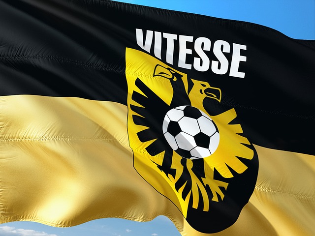 1st cavalry division flag