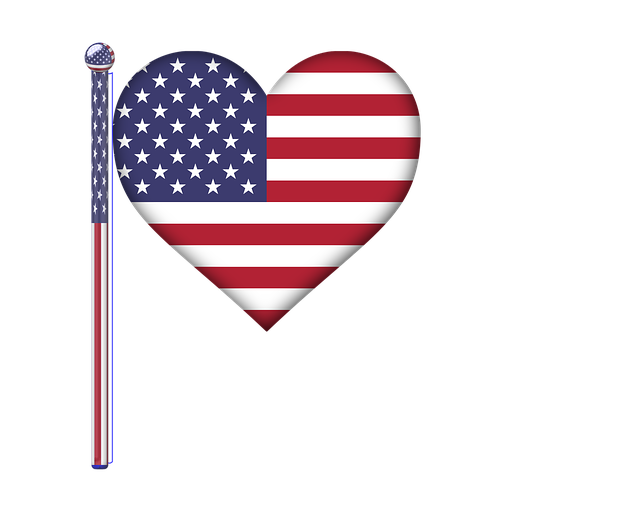 8 x 12 american flag
