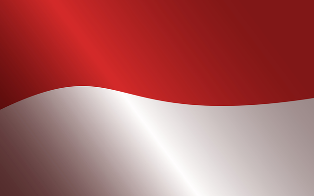 82nd airborne division flag