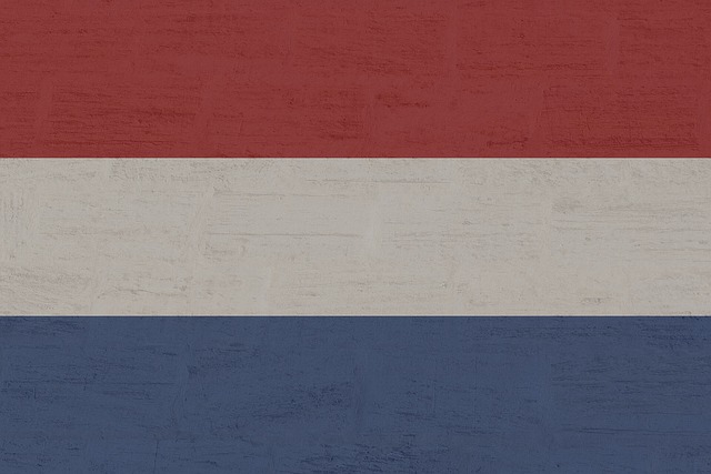 82nd airborne division flag