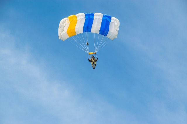 82nd airborne division flag