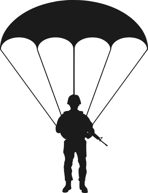 82nd airborne division flag