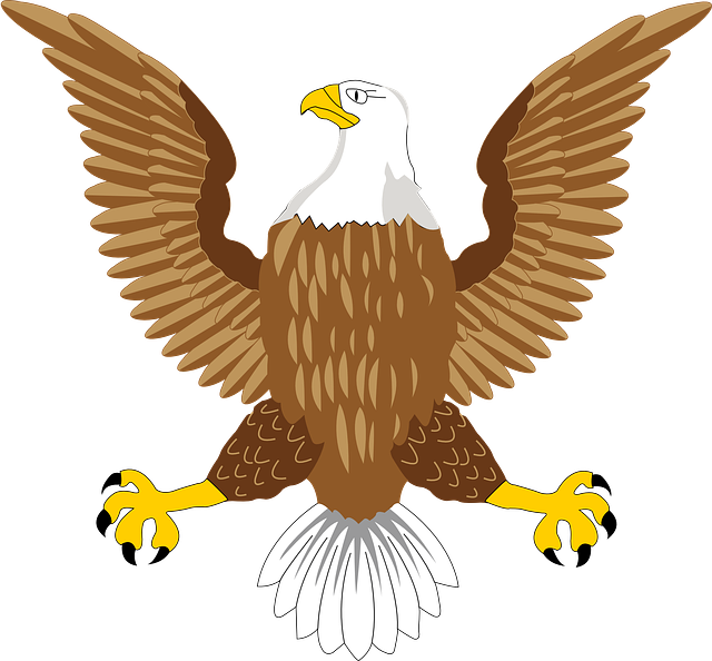 american eagle american flag